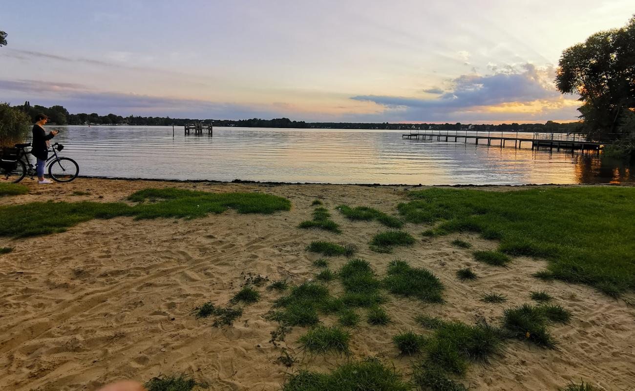 Фото Erkner Beach с трава поверхностью