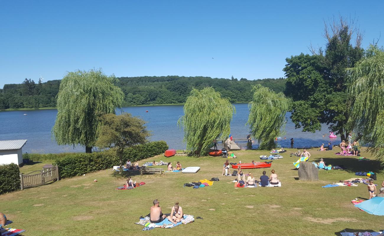 Фото Wied Beach с трава поверхностью