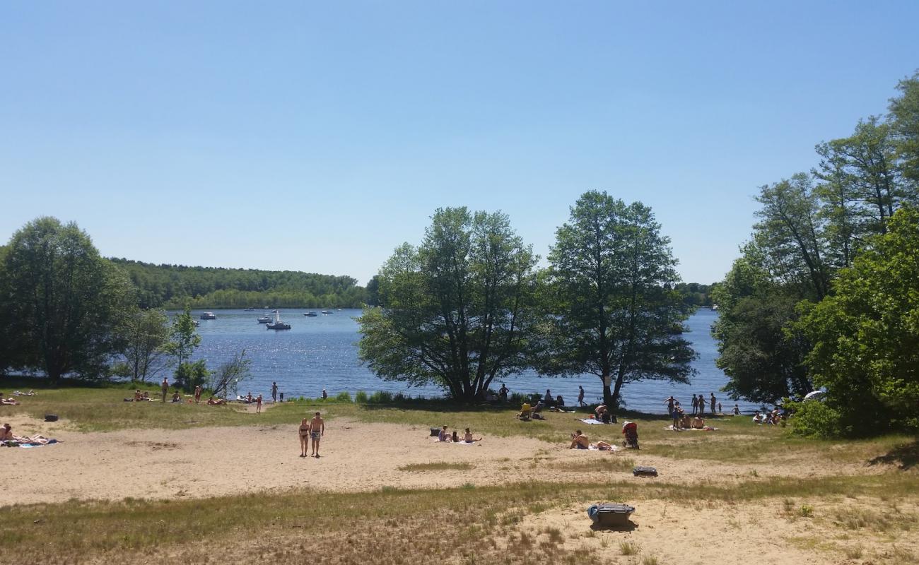 Фото Weisser Strand Flakensee с светлый песок поверхностью