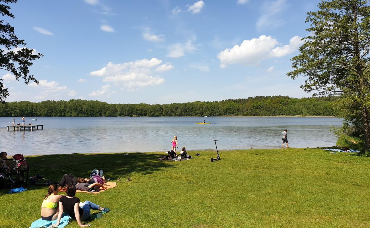 Фото Granzow Strand с трава поверхностью