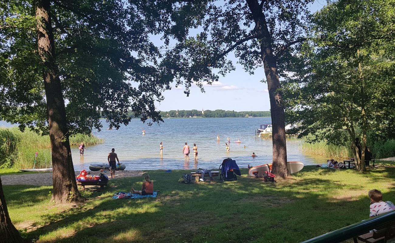 Фото Reichenwalde Strand с трава поверхностью