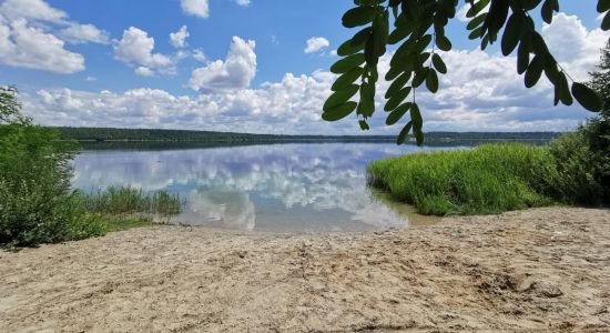 Hasselbacher See Strand