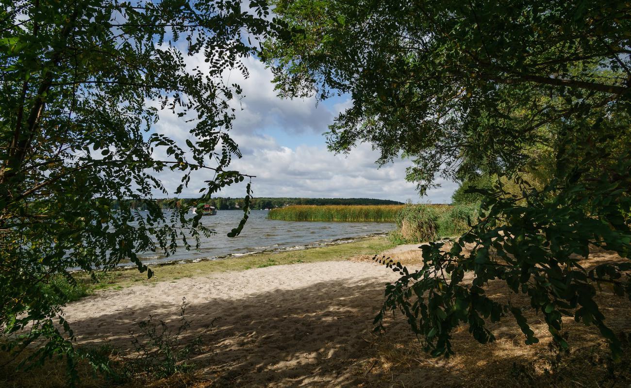 Фото FKK Strand am "Pennerstrand" с светлый песок поверхностью