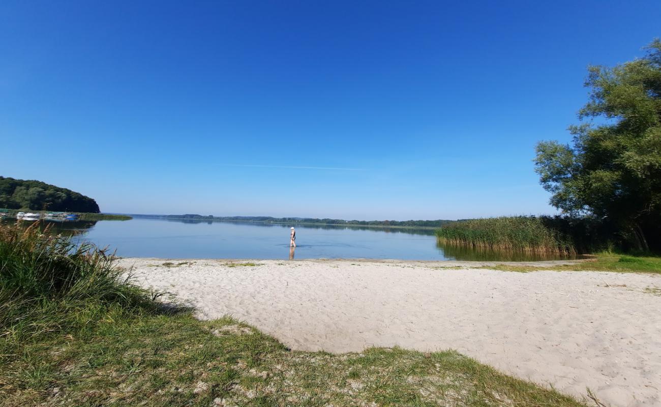 Фото Hundestrand Dahmen с светлый песок поверхностью