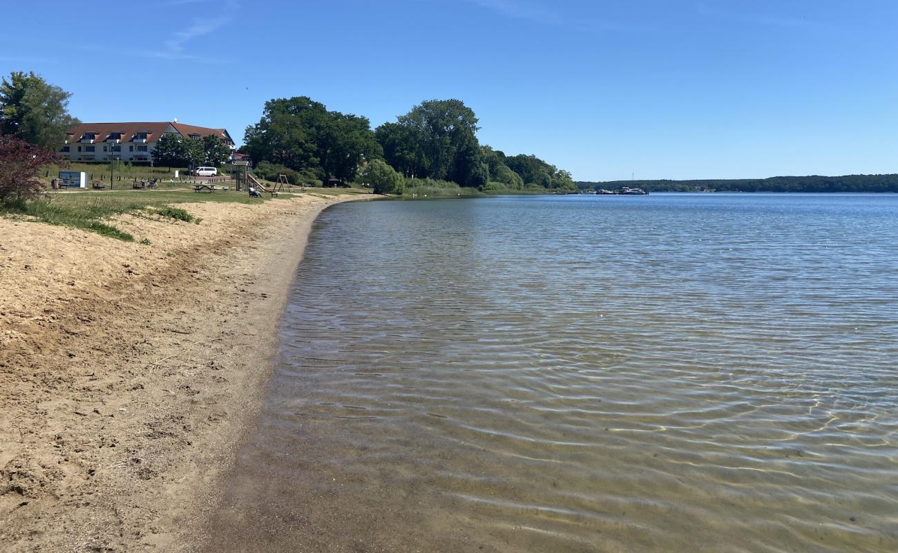 Фото Seelust Hundestrand с трава поверхностью