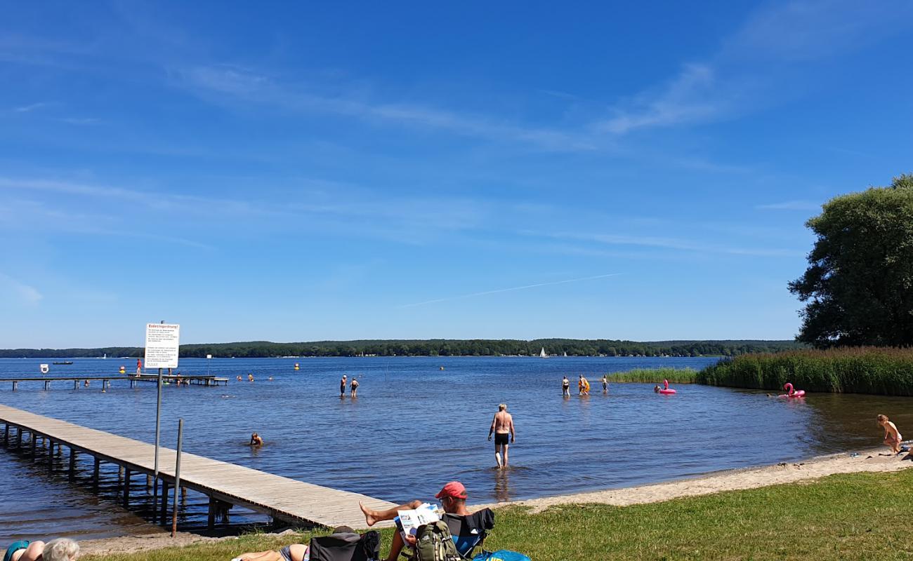 Фото Strandbad 19395 с трава поверхностью