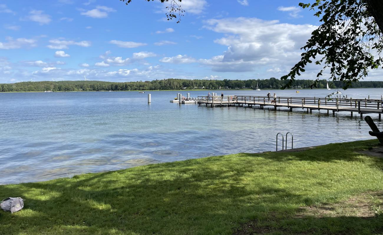 Фото Hundestrand Wendisch Rietz с трава поверхностью