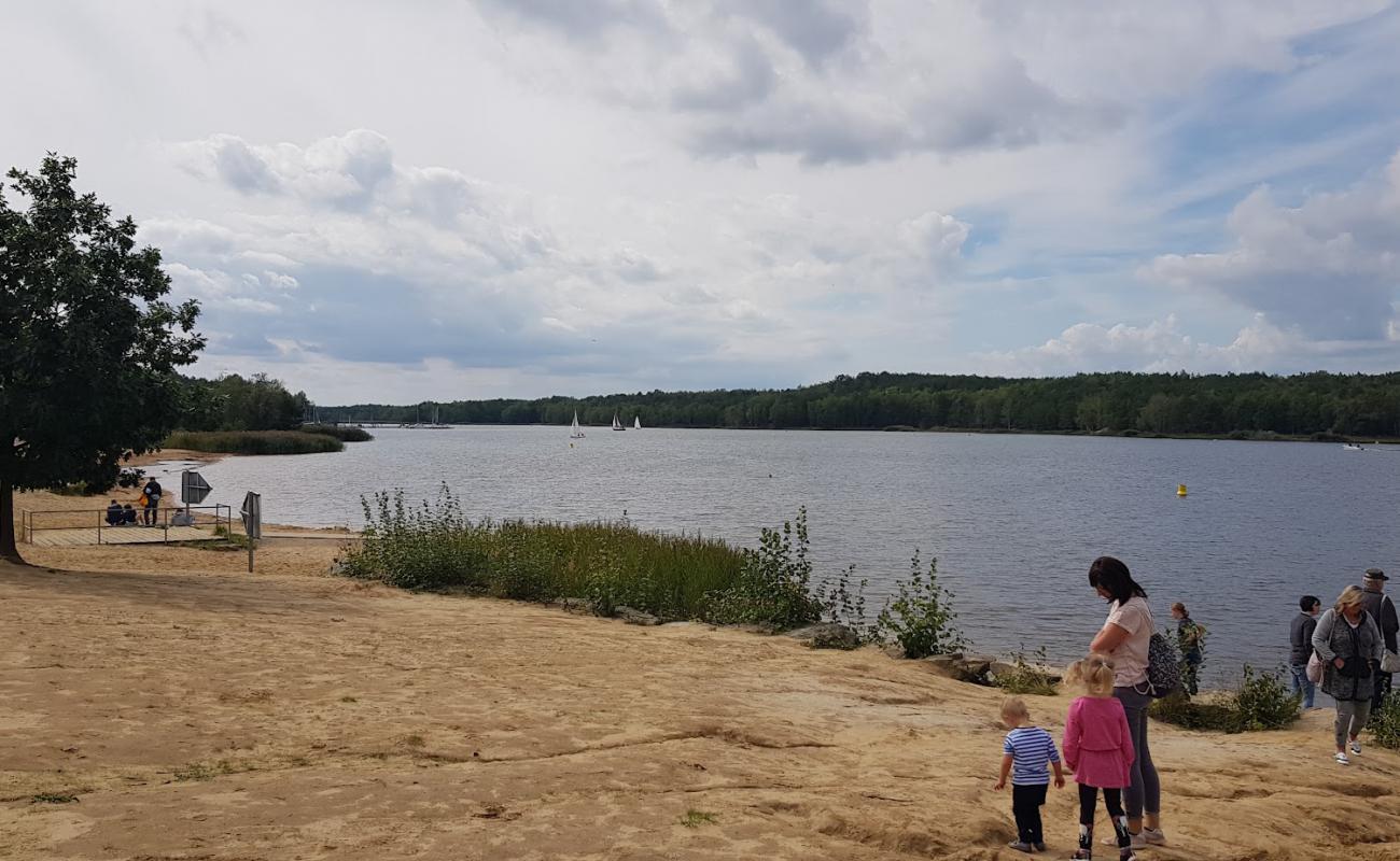 Фото Senftenberg Strand с светлый песок поверхностью