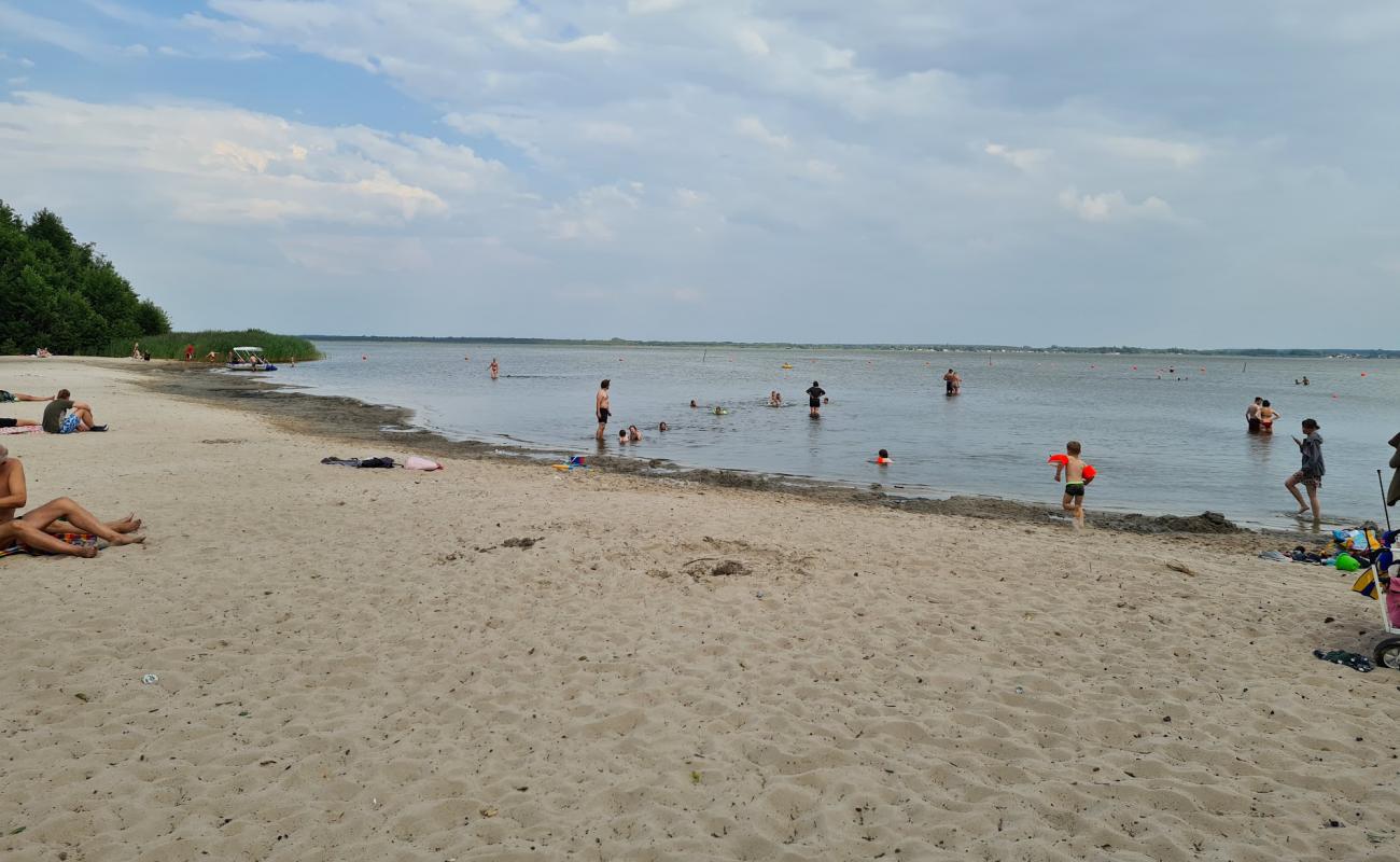 Фото Badestrand Steinhuder Meer Nordufer с светлый песок поверхностью