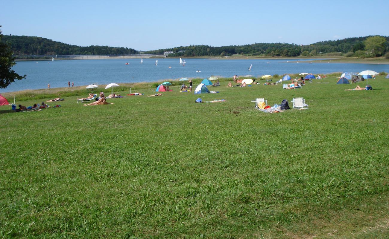 Фото Pohl FKK Strand с трава поверхностью