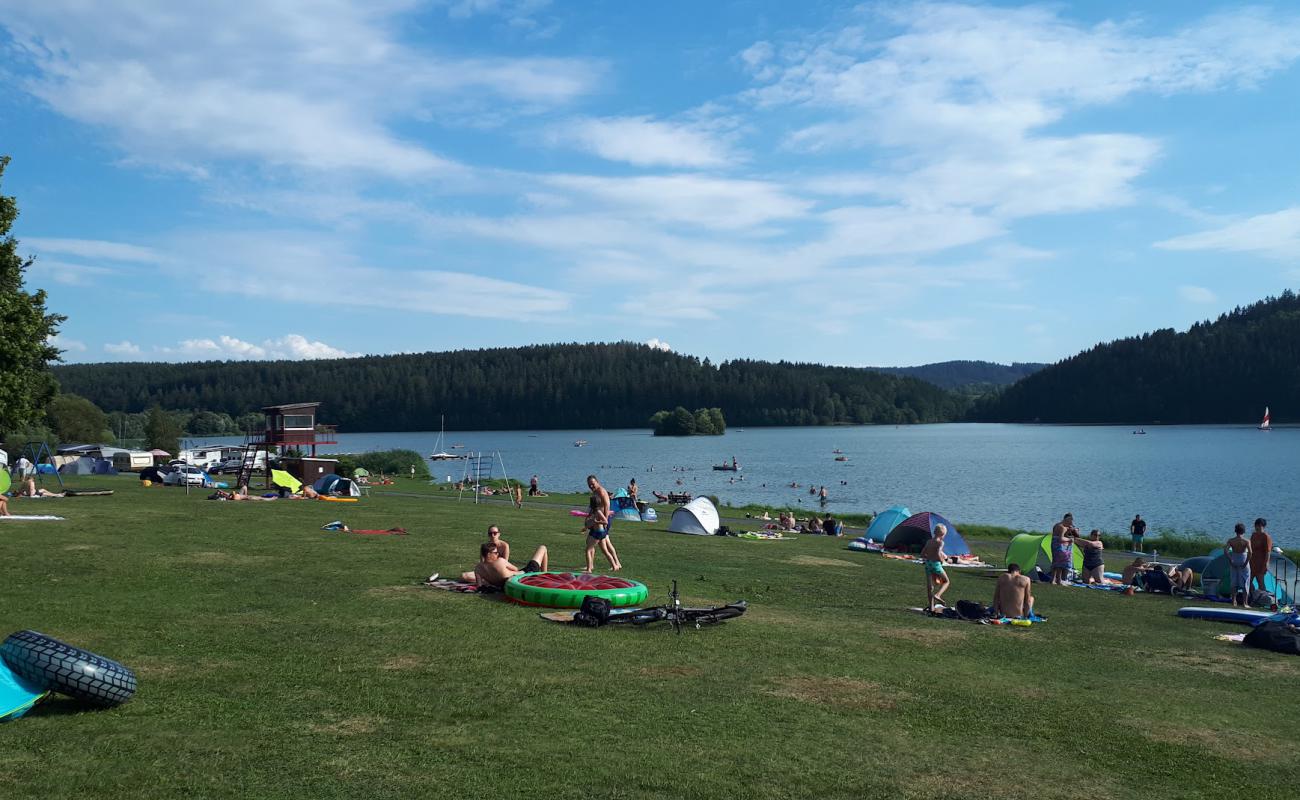 Фото Hildburghauser Wald Strand с трава поверхностью