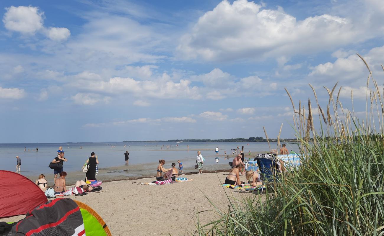 Фото Wohlenberger Wiek Beach с #20 поверхностью