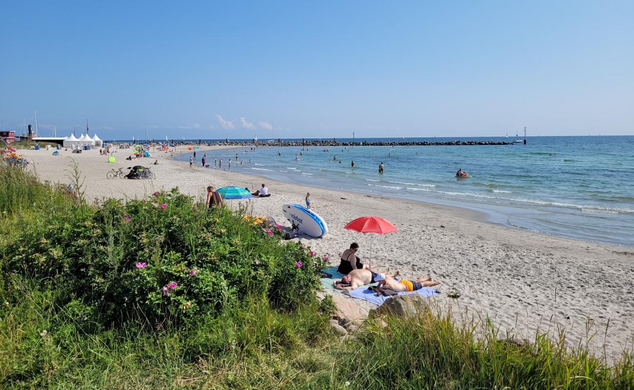 Фото Damp strand с светлый песок поверхностью