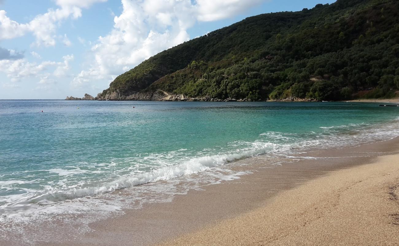 Фото Lichnos beach с золотой ракушечник поверхностью