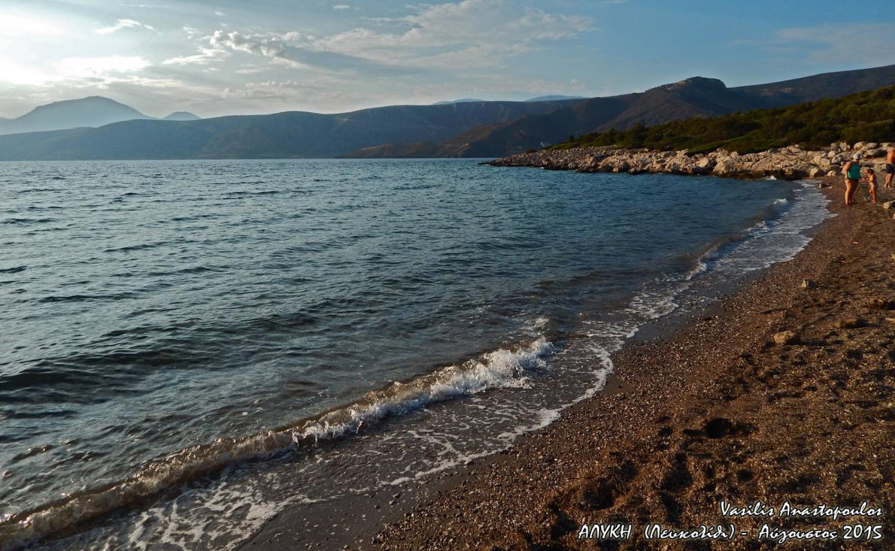 Фото Alyki voeotia beach с белая чистая галька поверхностью