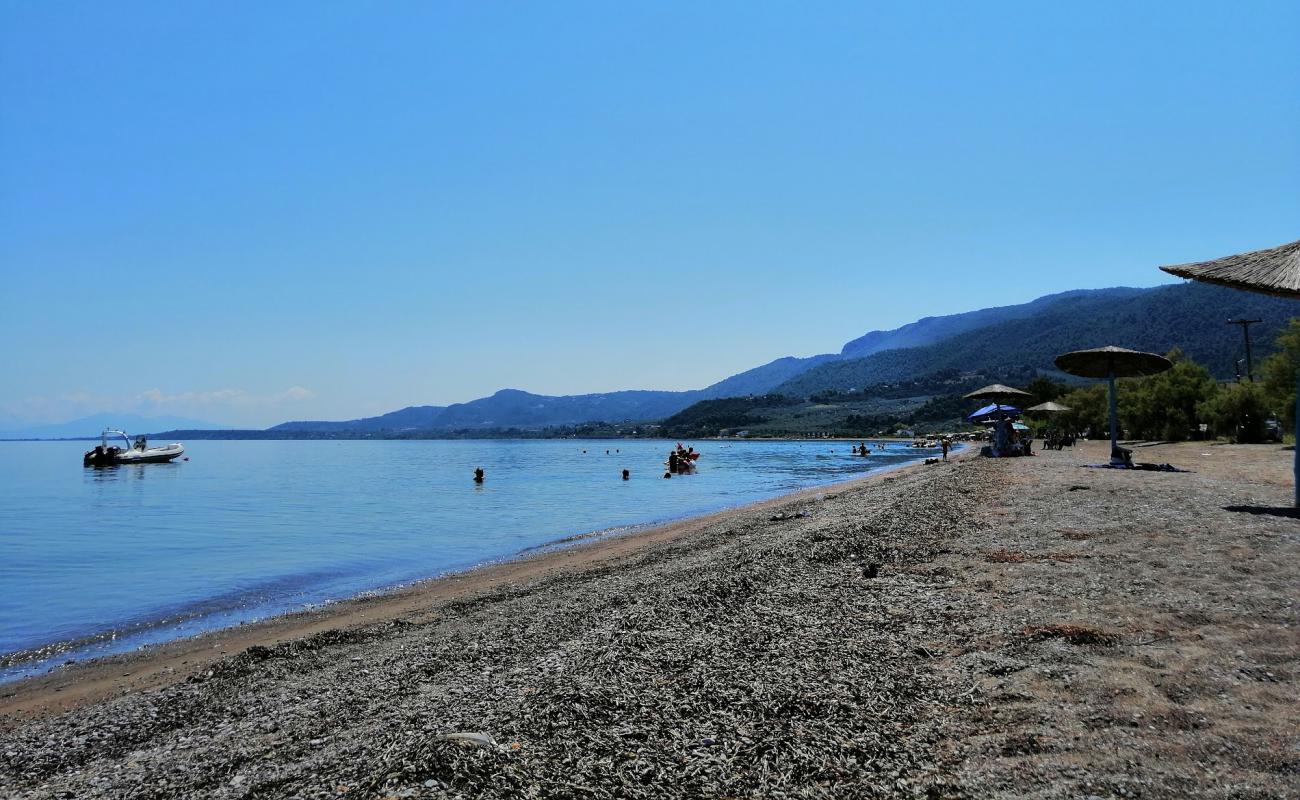 Фото Loggos beach с темная галька поверхностью