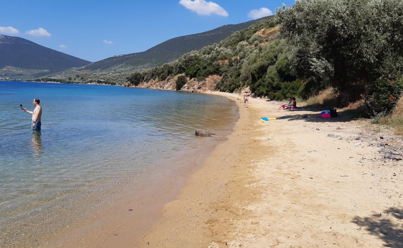 Фото Ag. Dimitrios 3 beach с светлый песок поверхностью