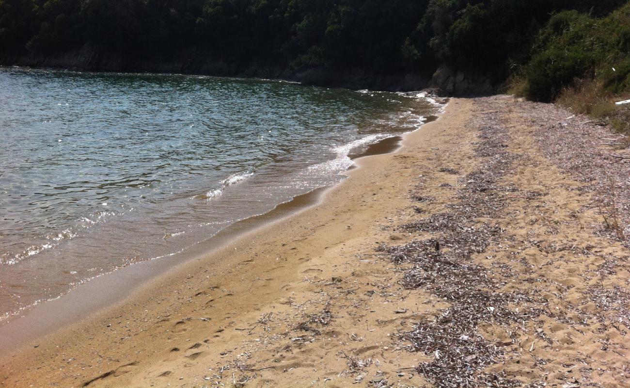 Фото Karavotsaki beach с светлый песок поверхностью