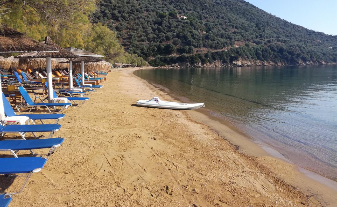 Фото Lefki beach с светлый песок поверхностью