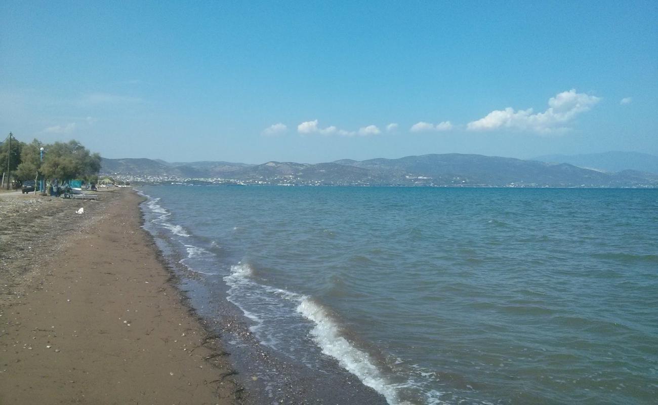 Фото Dimitriada beach с песок с галькой поверхностью