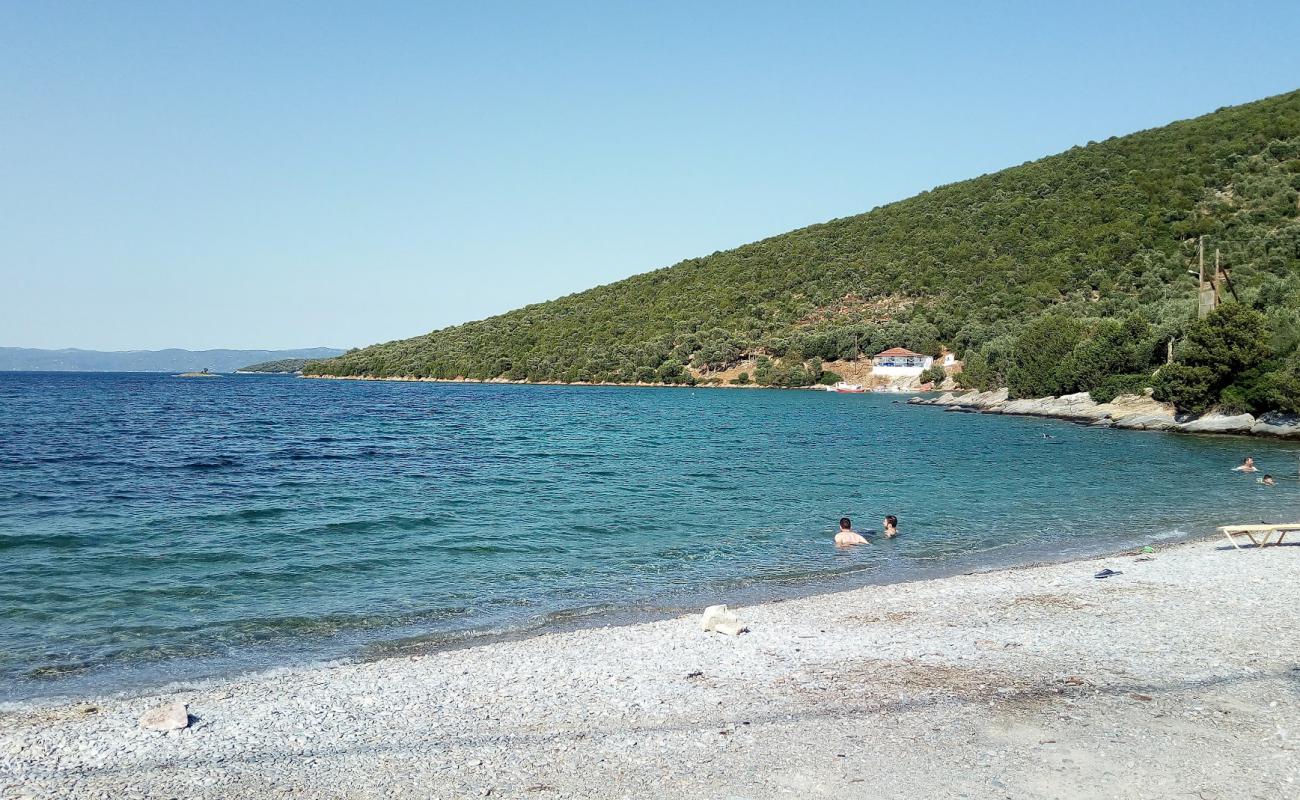 Фото Alogoporos beach с светлая галька поверхностью