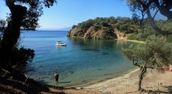 Green beach