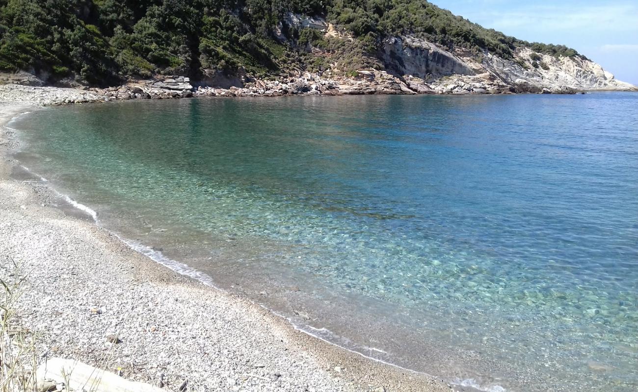 Фото Agios Dimitros beach с светлая галька поверхностью