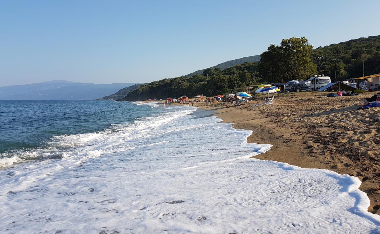 Фото Polydendri beach с светлый песок поверхностью