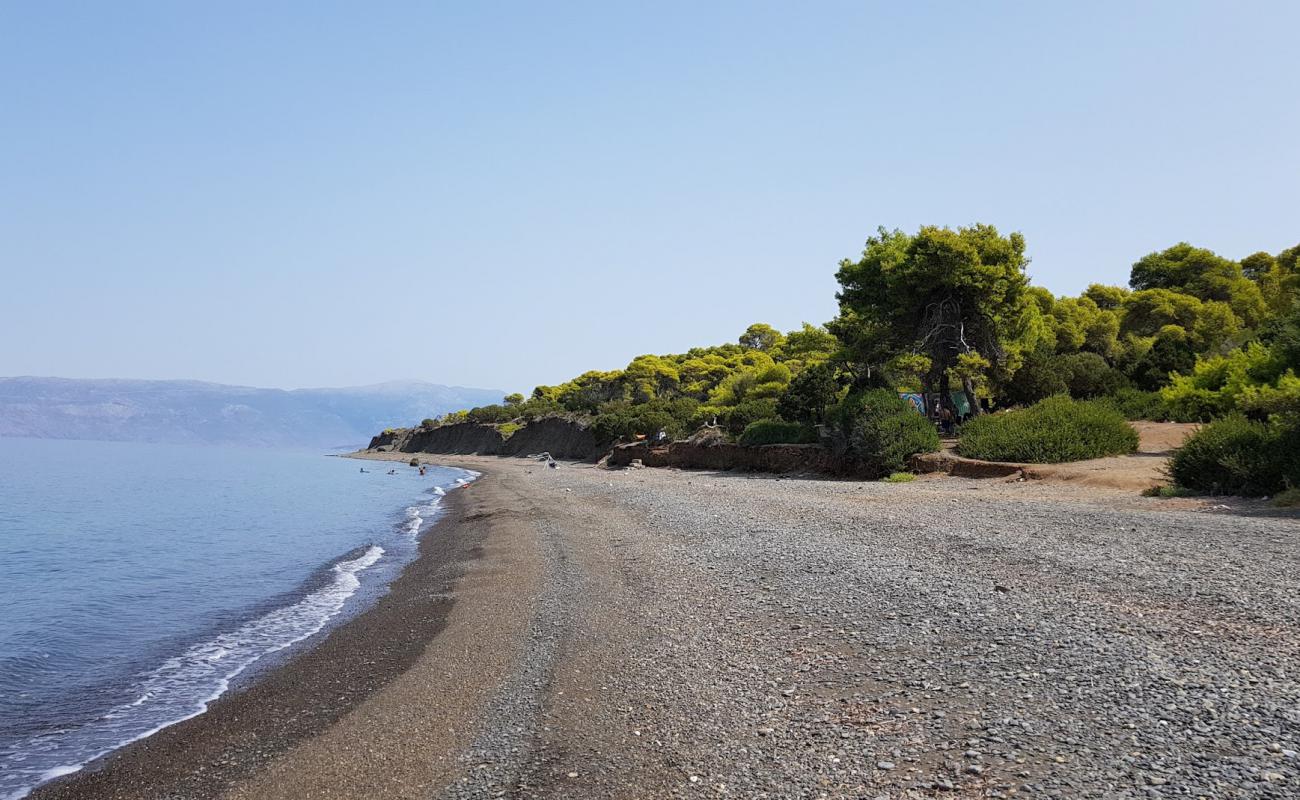 Фото Almyra beach с серая чистая галька поверхностью