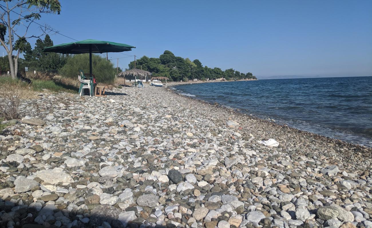 Фото Agioi Theodoroi 2 beach с темная чистая галька поверхностью