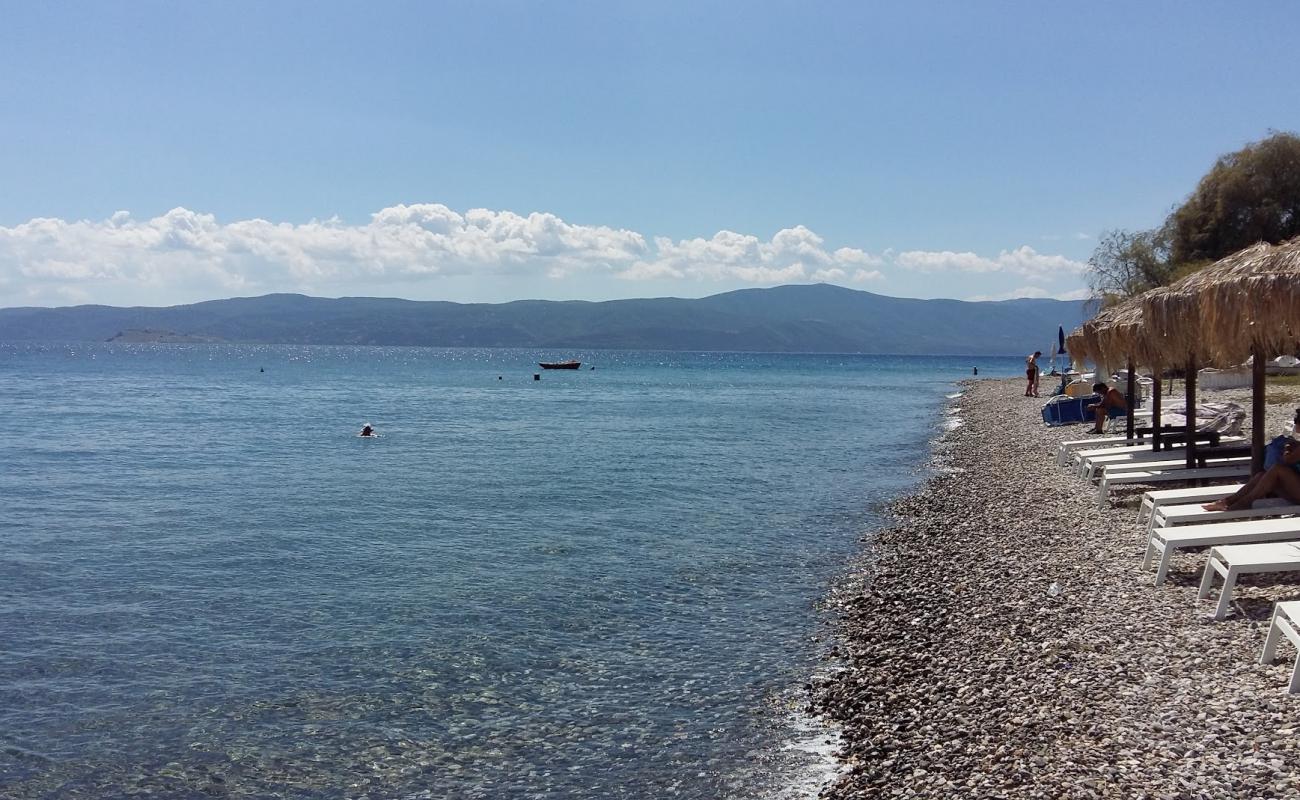 Фото Agioi Theodoroi beach с серая чистая галька поверхностью