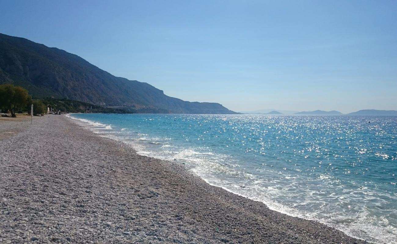 Фото Kinetas beach с белая чистая галька поверхностью