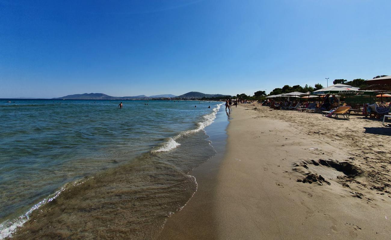 Фото Artemis beach с светлый песок поверхностью