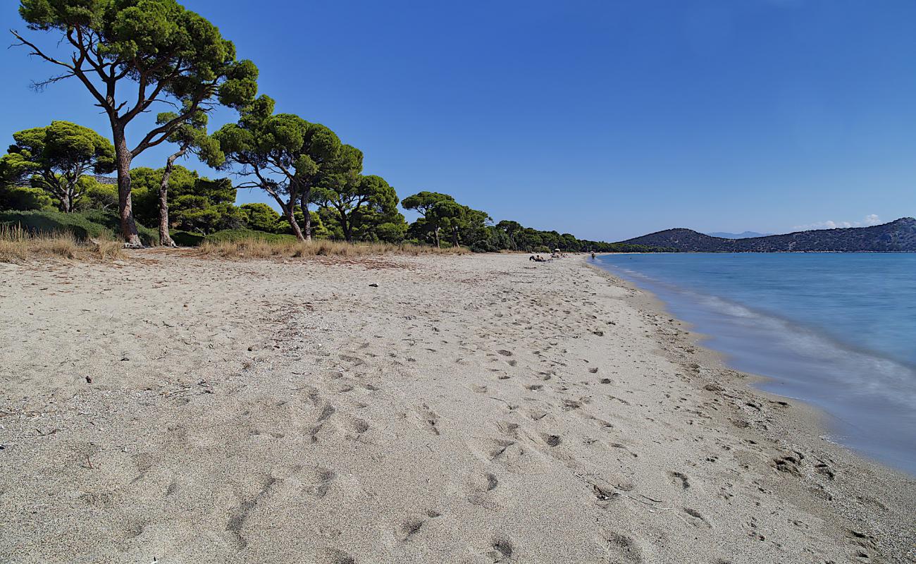 Фото Schinias Beach с светлый песок поверхностью