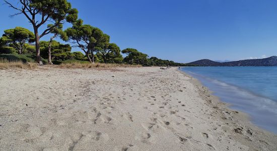 Schinias Beach