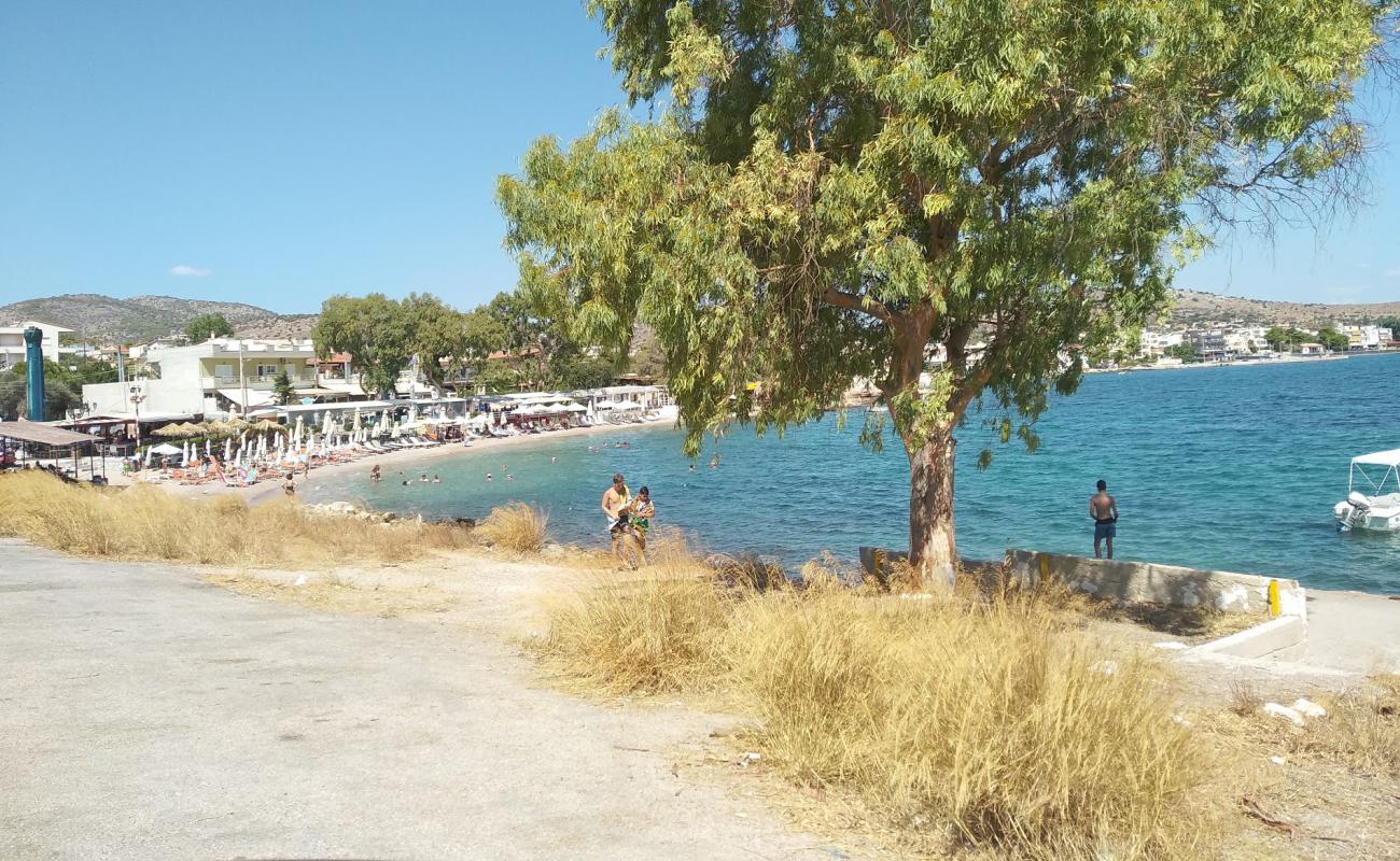 Фото Selinia beach с песок с галькой поверхностью