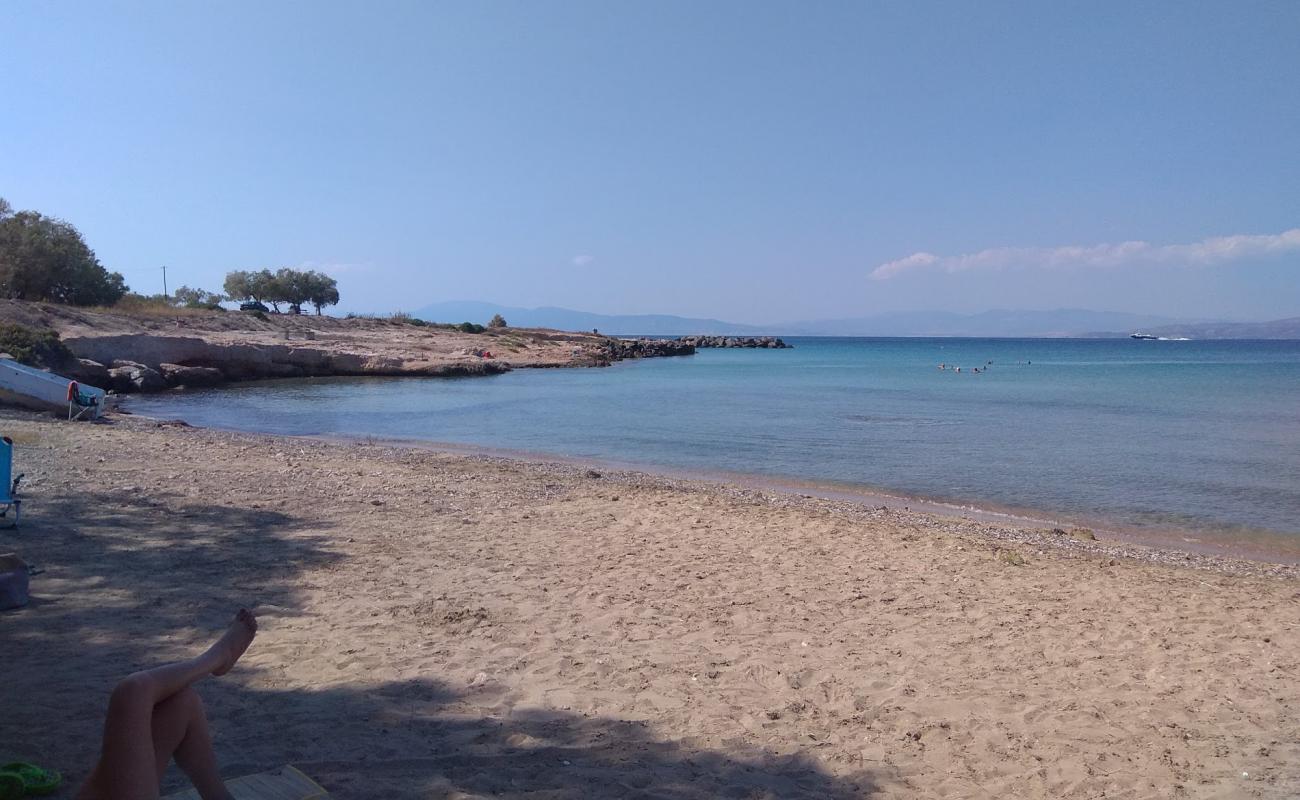 Фото Zenobia Beach с песок с галькой поверхностью