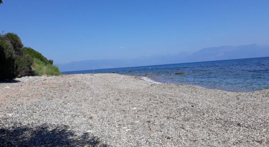 Kalamaki beach