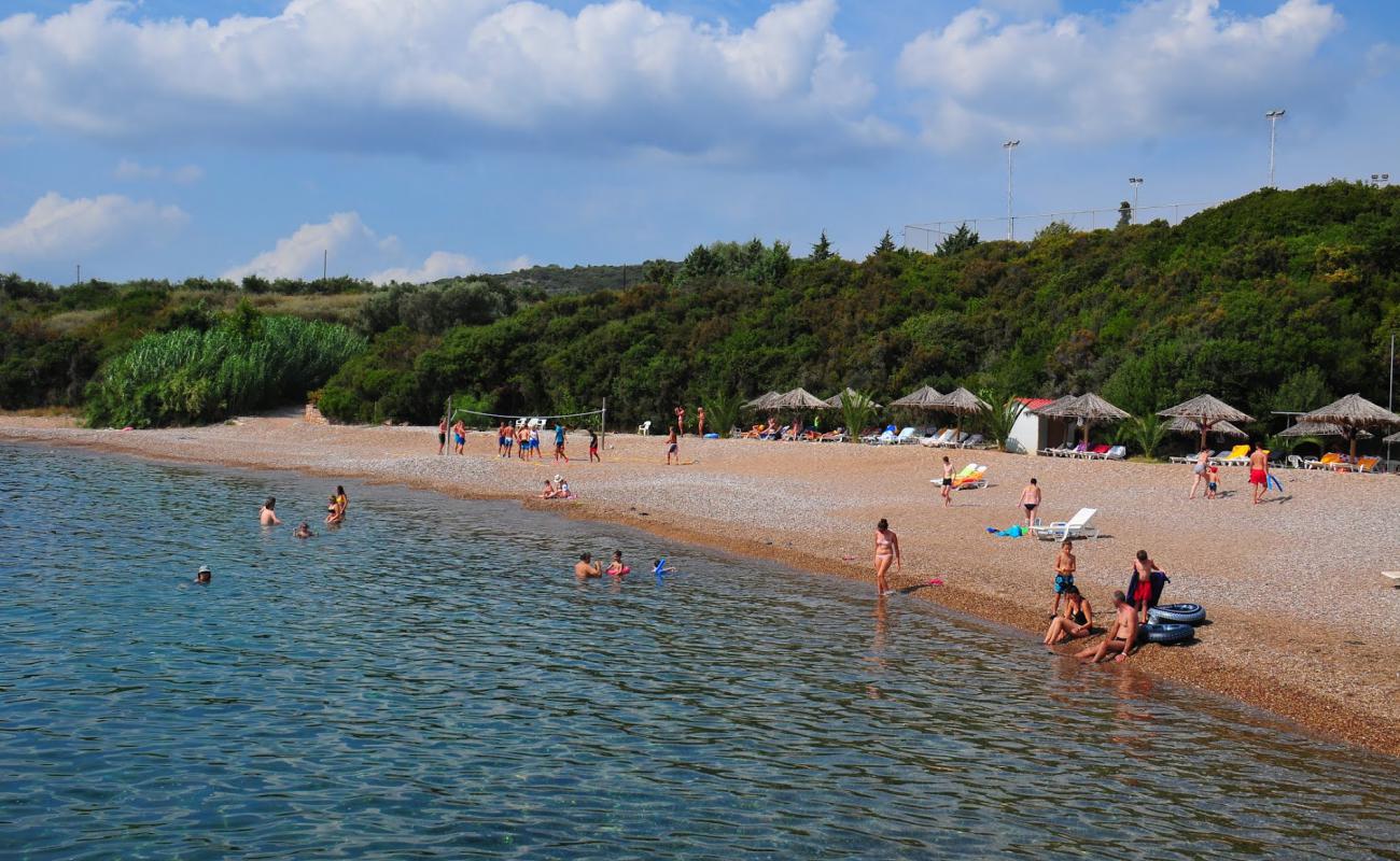 Фото Sunrise village beach с серая чистая галька поверхностью