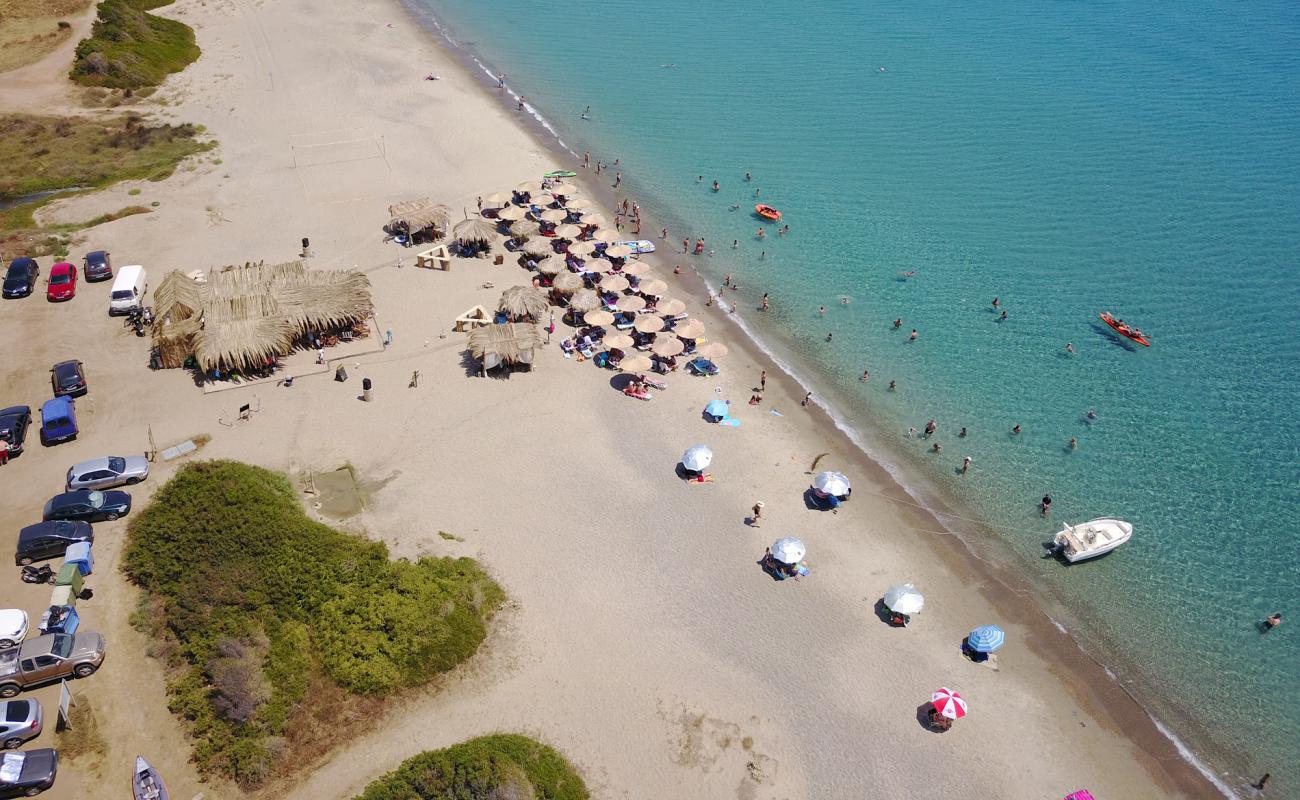 Фото Maganos beach с золотистый песок поверхностью