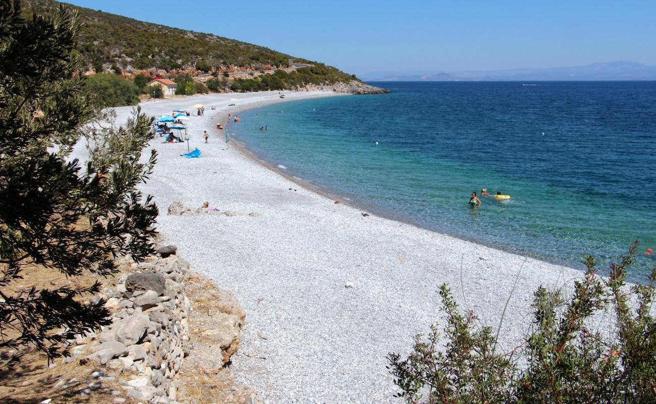 Фото Tserfos beach с светлая галька поверхностью