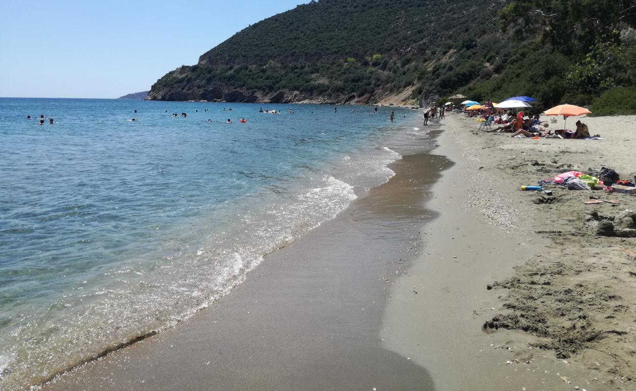 Фото Karakatsanis Beach с светлый песок поверхностью