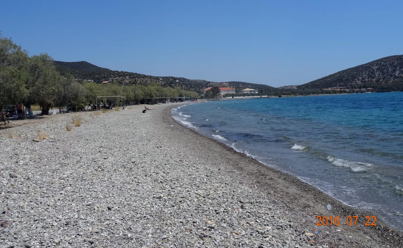 Фото Dardiza beach с песок с галькой поверхностью