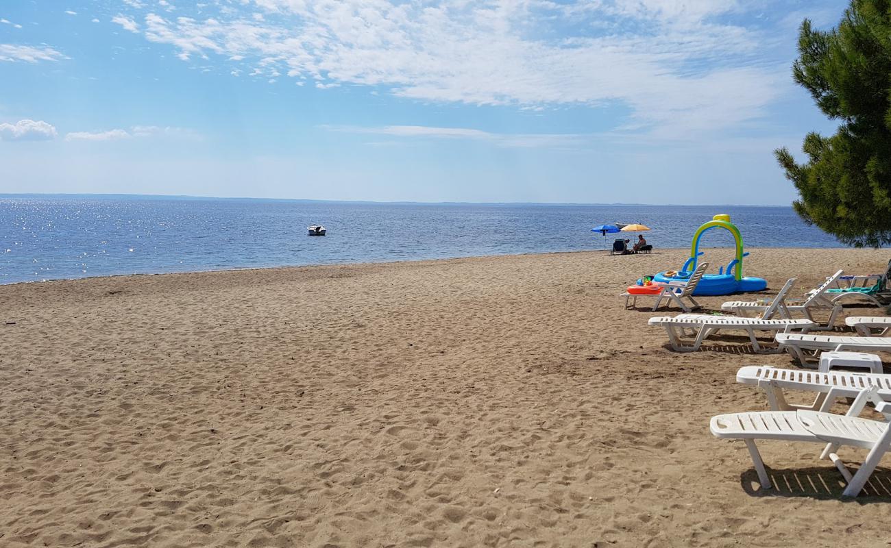 Фото Psakudia beach с серый песок поверхностью