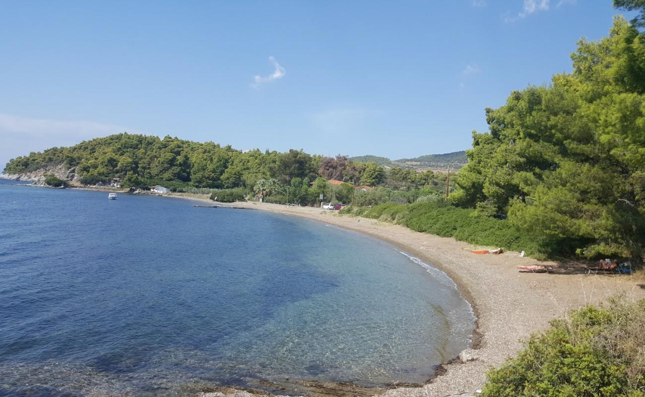 Фото Koutsoupia beach с песок с галькой поверхностью