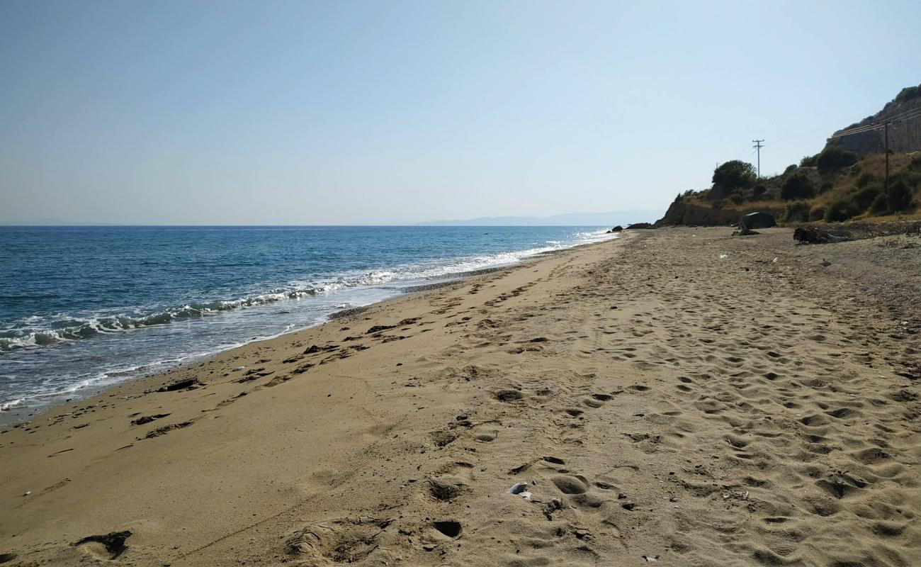 Фото Coyota's beach с белый песок поверхностью