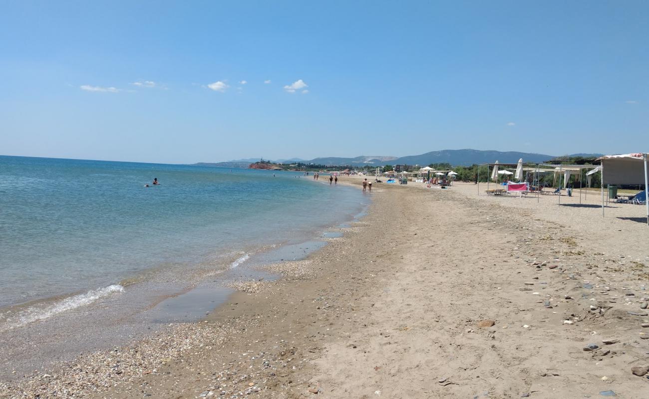 Фото Alexandroupolis beach с песок с галькой поверхностью