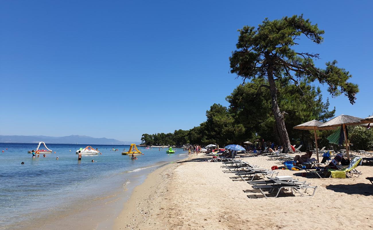 Фото Pachis beach с белый песок поверхностью