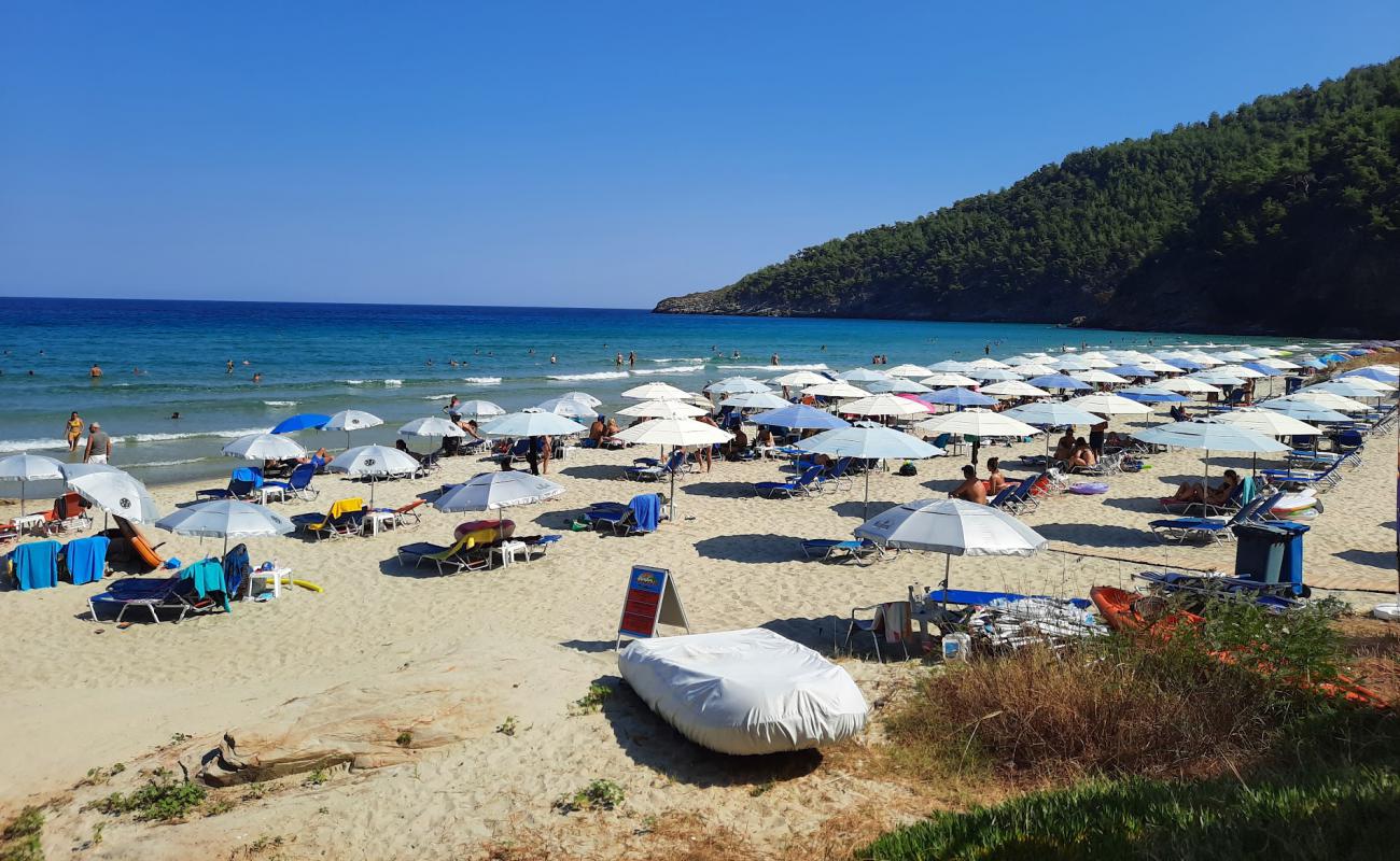 Фото Paradise beach с белый чистый песок поверхностью