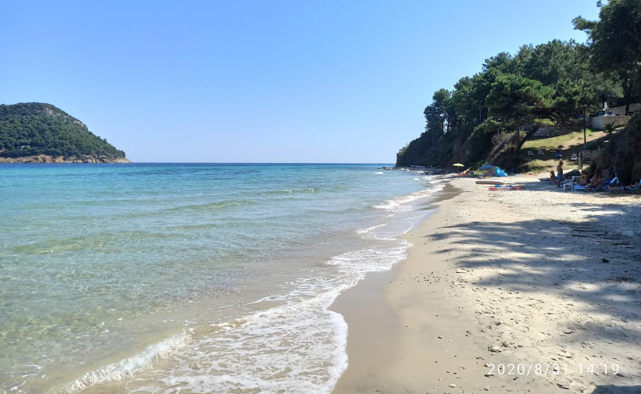 Фото Dolphins beach с песок с галькой поверхностью